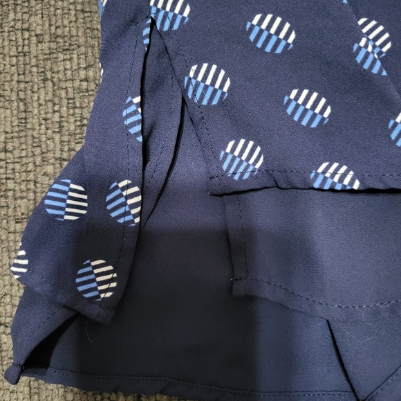 Sejour Chiffon Sleeveless Blouse - Picture 4 of 9